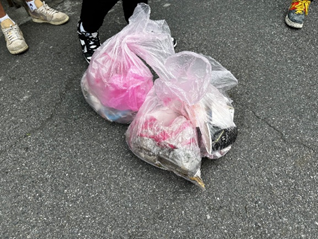 6淨山完後之垃圾